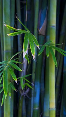 Free download 85 QHD1440P Stunning wallpapers provided by Mother Nature 