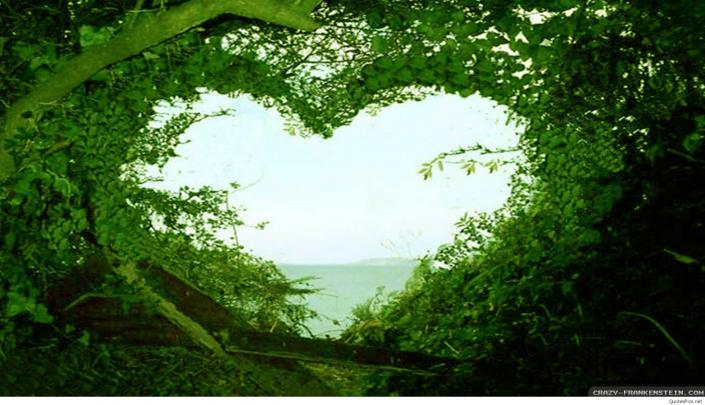 Nice Nature Wallpapers (66+ background pictures)