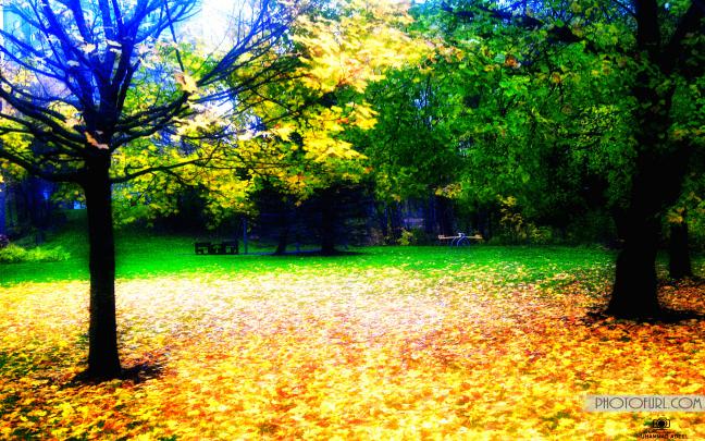 Nice Nature Wallpapers (66+ background pictures)