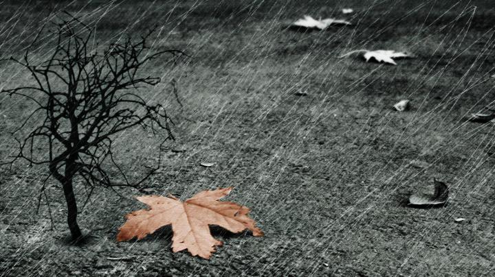 3D Rain Wallpapers - Top Free 3D Rain Backgrounds - WallpaperAccess