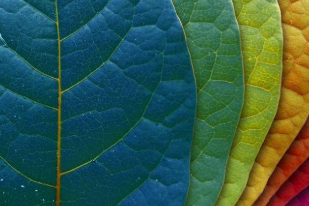 5K Desktop Wallpapers - Top Free 5K Desktop Backgrounds - WallpaperAccess