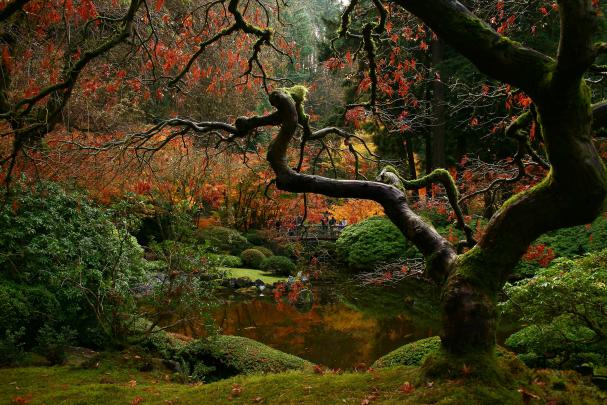 Best 63+ Aesthetically Pleasing Wallpapers on HipWallpaper 