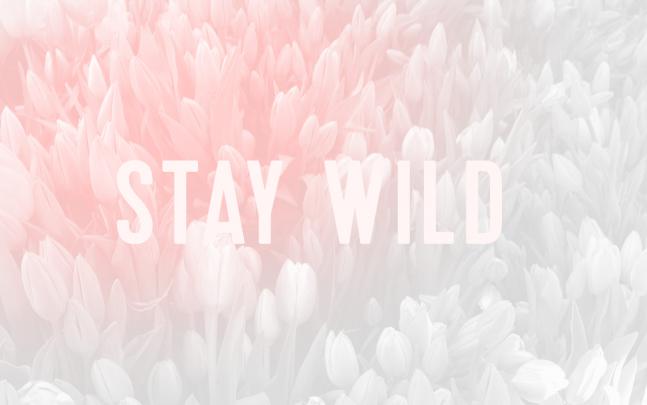 Best 63+ Aesthetically Pleasing Wallpapers on HipWallpaper 
