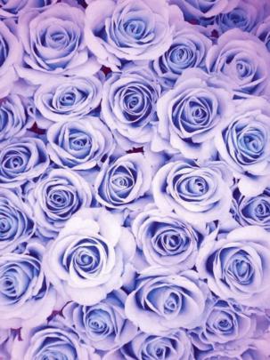 Best 53+ Aesthetically Pleasing Background on HipWallpaper 