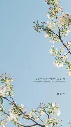 Aesthetically Pleasing Korea-Style Phone Wallpapers To Lift Your 