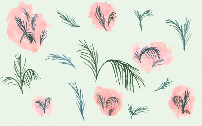 Desktop Wallpapers + Laptop Organization