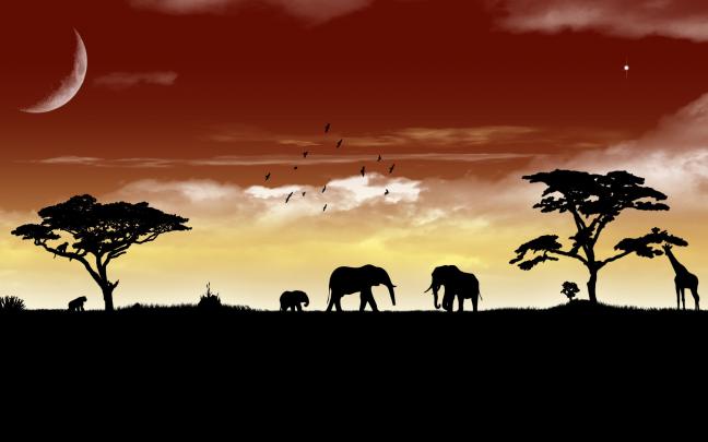 Desktop Elephant HD Wallpapers