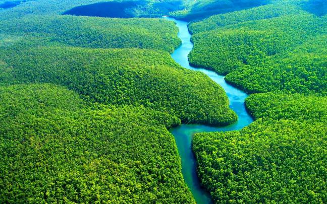 Amazon Rainforest HD Wallpaper - Eon Wallpapers