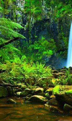 Amazon Rainforest Wallpapers HD Download For Desktop Desktop Background