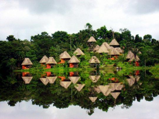Amazon Rainforest Wallpapers