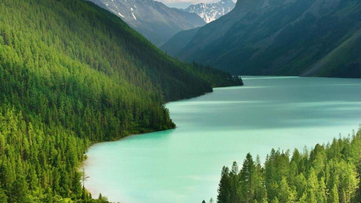 Full hd Amazon Forest Wallpapers - High Quality HD Wallpapers Nature