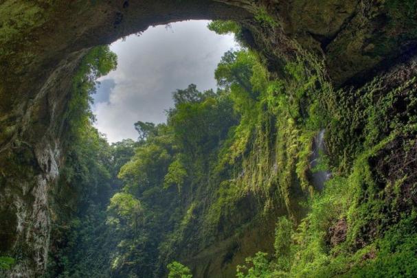 Amazon RainForest Wallpaper \u00b7\u2460 