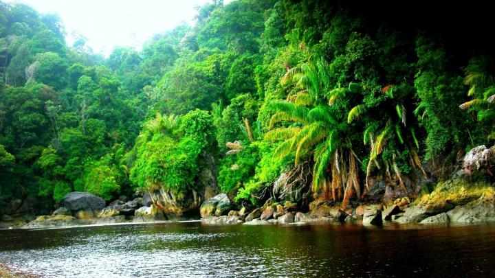 Amazon River Wallpapers