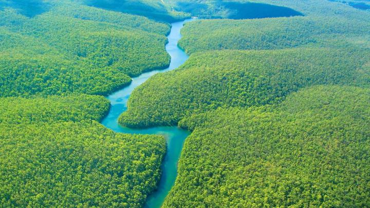 Amazon Rainforest HD Wallpapers