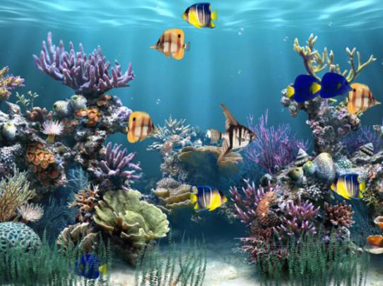 Free download Animated Desktop Wallpapers Animated Computer Background 