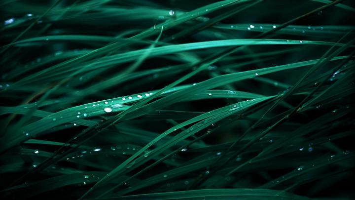 Mac Os X Full HD Wallpapers
