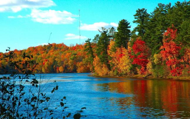 Fall Harvest Wallpaper (54+ images)
