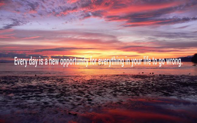 Demotivational Wallpapers -