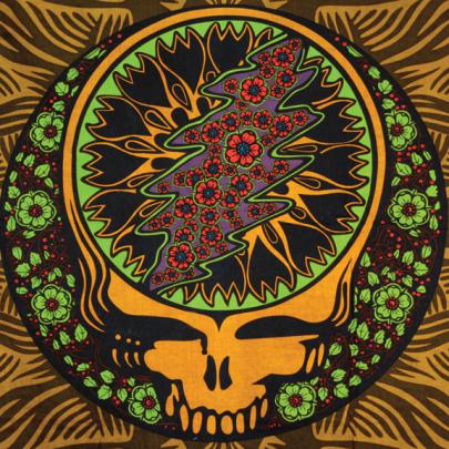 [48+] Grateful Dead Wallpapers in 1920x1080 