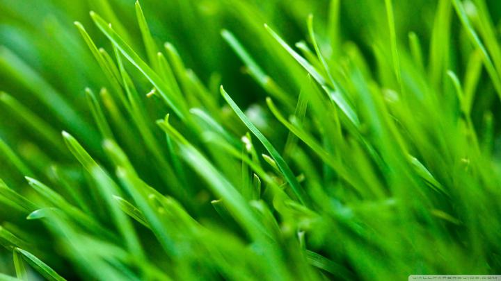 Green Wallpaper 1920x1080 (62+ images)