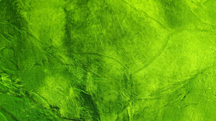 Green wallpaper | 1920x1080 | #40121