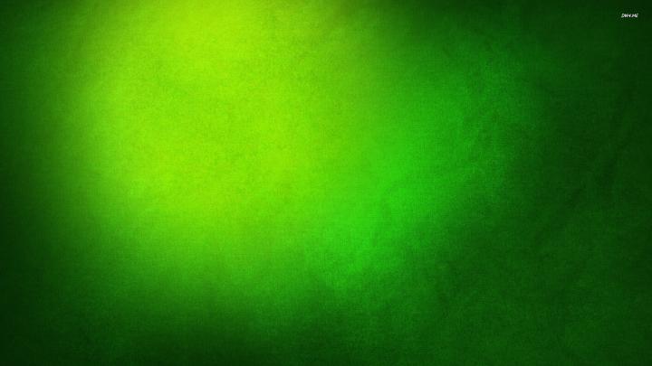 Green wallpaper | 1920x1080 | #40106
