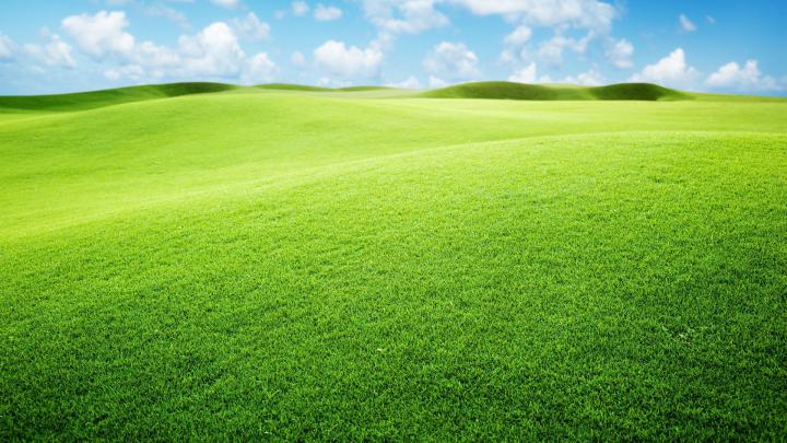Green Wallpaper 1920x1080 (62+ images)
