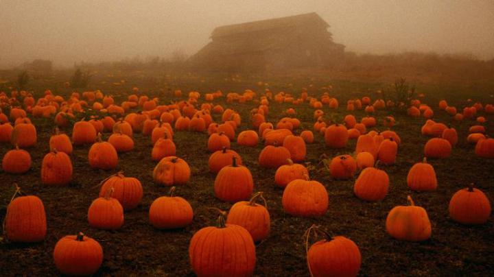 Free download Halloween Wallpaper 9 [1920x1200] for your Desktop 
