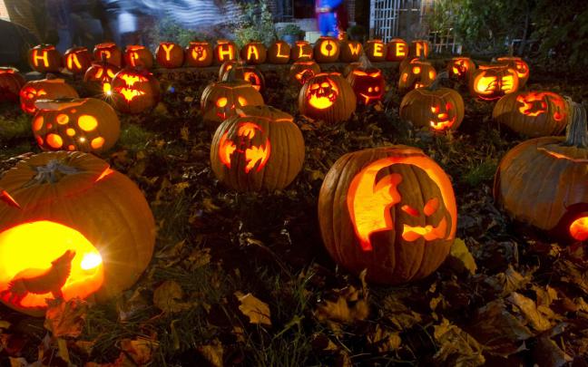 Free download Halloween Toronto Wallpaper 1920x1080 Halloween Toronto 