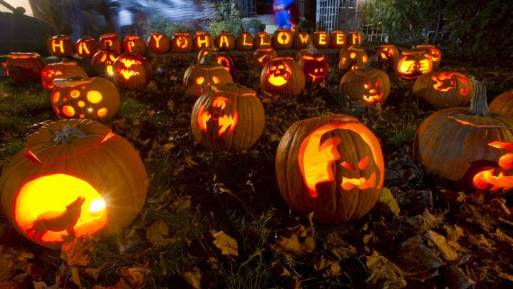 Free download Halloween Toronto Wallpaper 1920x1080 Halloween Toronto 