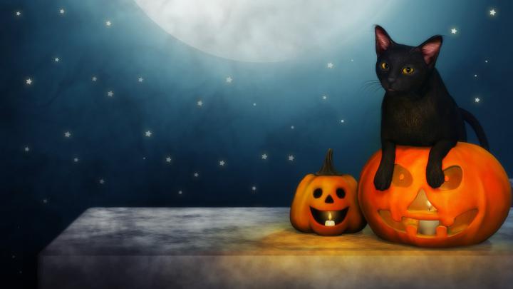 Halloween HD Wallpapers 1920x1080 -