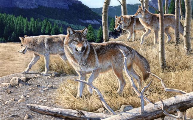 Pack of Wolves Wallpaper (58+ images)