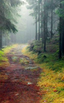 Free download hd nature wallpaper pack download HD Nature Wallpaper 