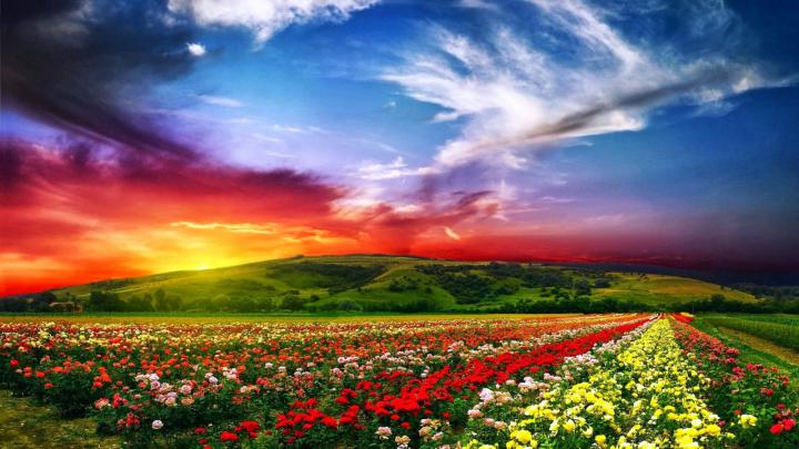 Free download Full HD Size Nature Wallpapers Downloads Full HD High Res 