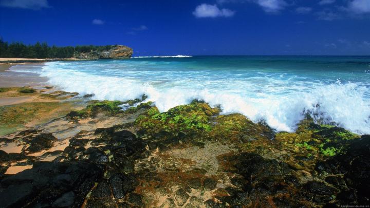 Free download Computer Desktop Wallpapers HD Wallpapers Desktop 