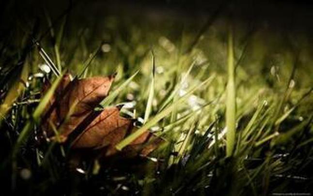 Free download High Def Wallpapers 1920x1080 54 images [1920x1080] for 