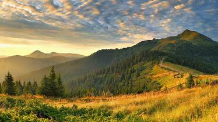 Free download Latest Full HD Size Nature Wallpapers Downloads Full HD 