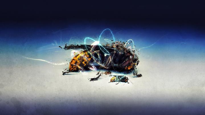 High Res Wallpaper 1920x1080 (67+ pictures)