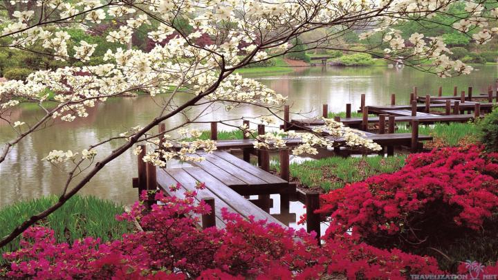 Spring in Japan Wallpapers - Top Free Spring in Japan Backgrounds 