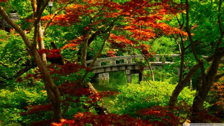 Japan Wallpaper 1080p -