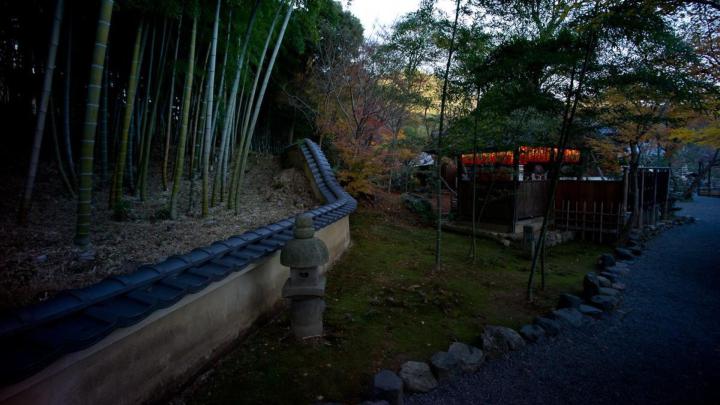 Japan landscapes trees forest garden wallpaper | AllWallpaper.in #13711 