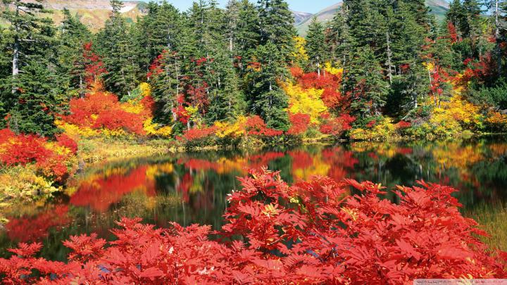 Free download Autumn Japan Wallpaper 1920x1080 Autumn Japan [1920x1080 