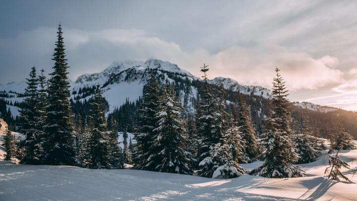 4K Snow Wallpapers - Top Free 4K Snow Backgrounds - WallpaperAccess