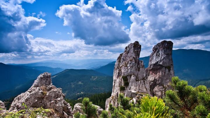 Amazing Fresh Desktop Wallpapers For Widescreen Download Desktop 