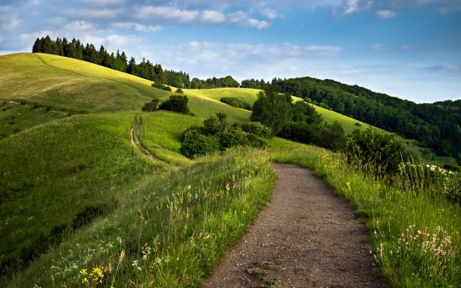 Green Fields, HD Nature, 4k Wallpapers, Images, Backgrounds, Photos and 