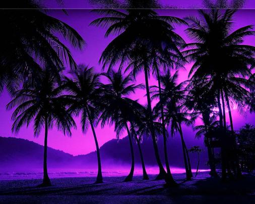 Free download Night wallpaperTropical Beach Night imageTropical Beach 