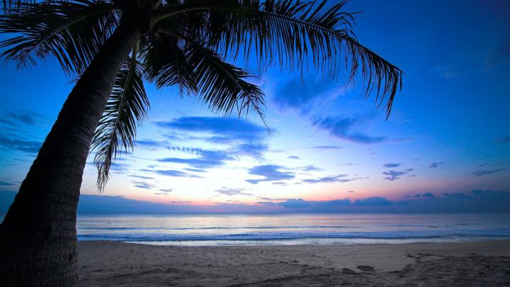 [26+] 1920 x 1080 Tropical Wallpaper 