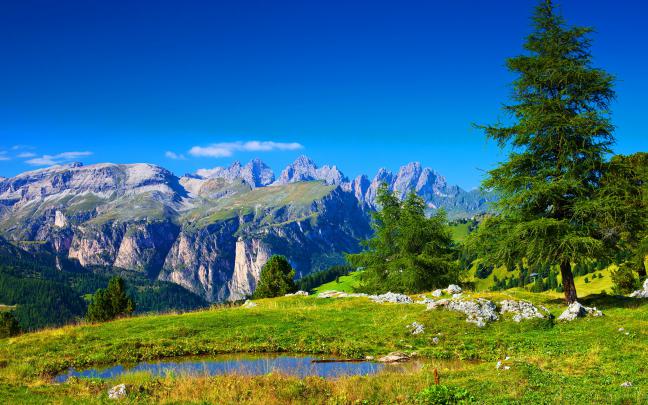summer wallpaper alpine - HD Desktop Wallpapers