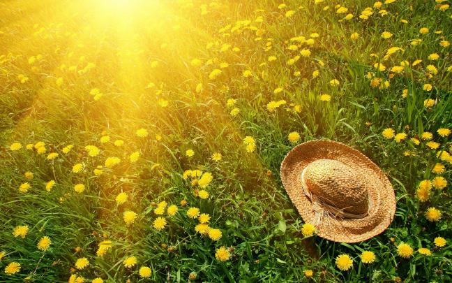 summer wallpaper abstract - HD Desktop Wallpapers
