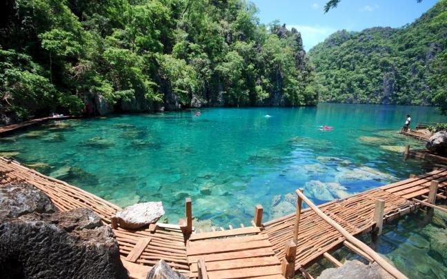 nature, Landscape, Lake, Forest, Walkway, Summer, Turquoise, Water 
